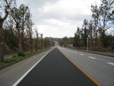 国道329号線 沖縄風景アーカイブ 風景結々(ふうけいゆいゆい)～沖縄らしい風景づくりポータルサイト～