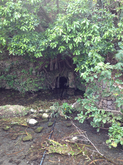 野城泉(1) 沖縄風景アーカイブ 風景結々(ふうけいゆいゆい)~沖縄らしい風景づくりポータルサイト~