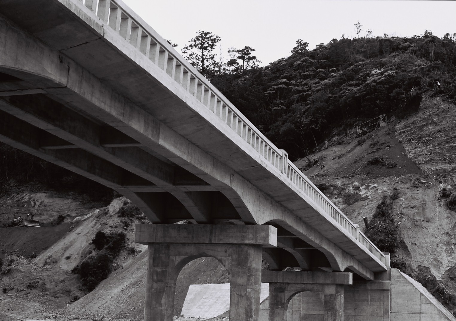 国頭村（8） 沖縄風景アーカイブ 風景結々(ふうけいゆいゆい)～沖縄らしい風景づくりポータルサイト～