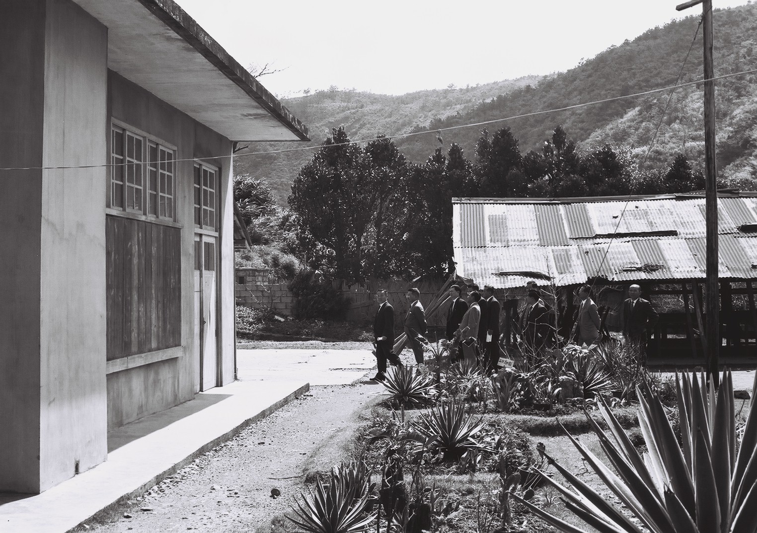 国頭村（18） 沖縄風景アーカイブ 風景結々(ふうけいゆいゆい)～沖縄らしい風景づくりポータルサイト～