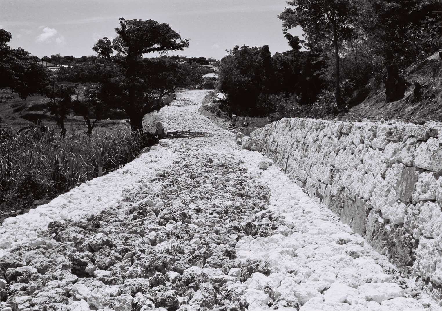 本部町(3) 沖縄風景アーカイブ 風景結々(ふうけいゆいゆい)~沖縄らしい風景づくりポータルサイト~