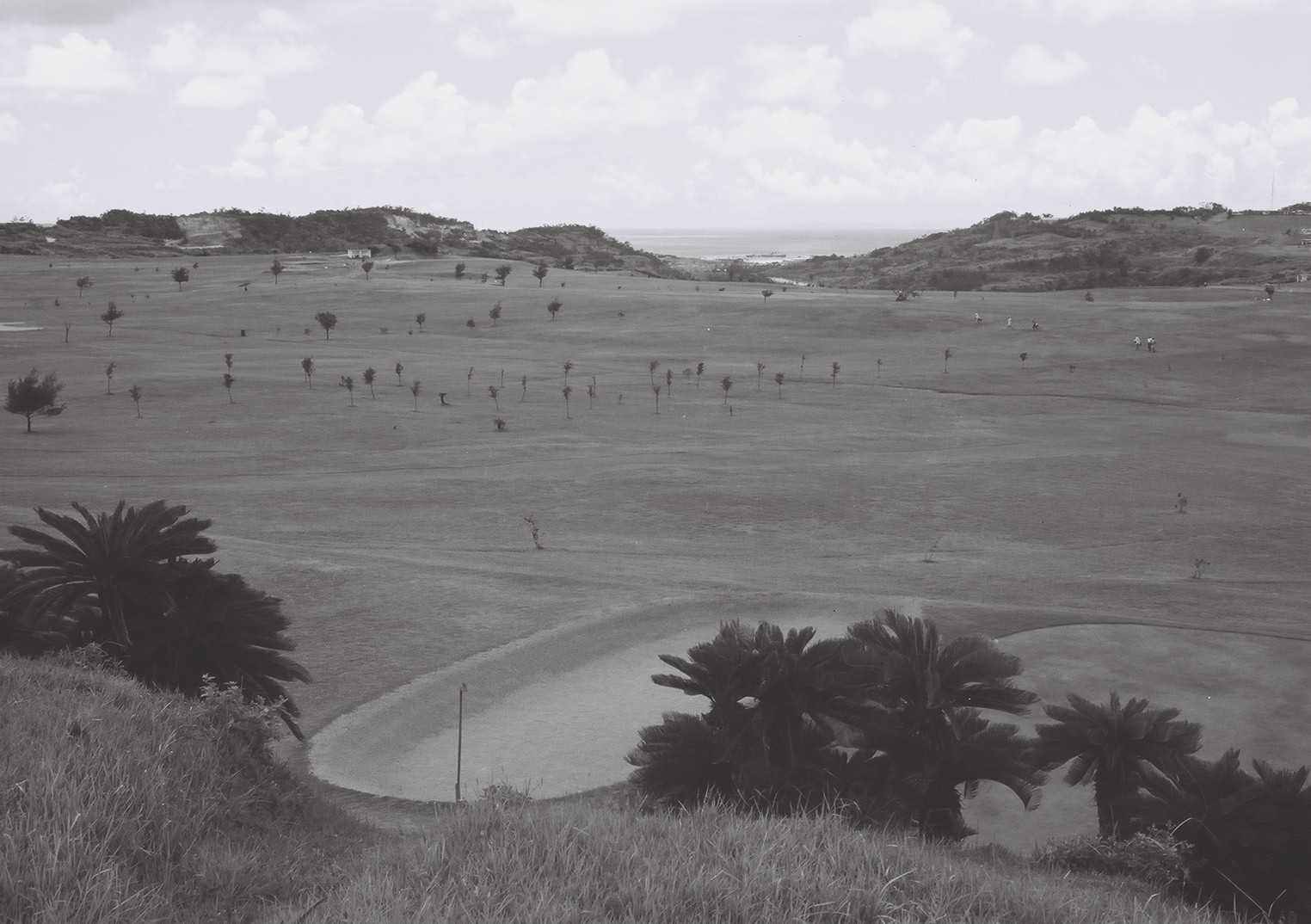 コザ市泡瀬ゴルフ場(3) 沖縄風景アーカイブ 風景結々(ふうけいゆいゆい)~沖縄らしい風景づくりポータルサイト~