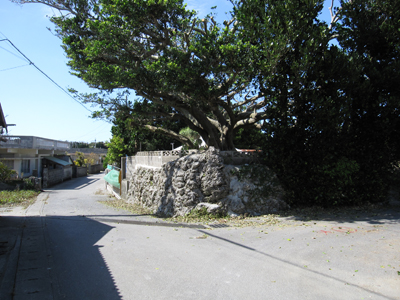 新里地区集落路（1） 沖縄風景アーカイブ 風景結々(ふうけいゆいゆい)～沖縄らしい風景づくりポータルサイト～