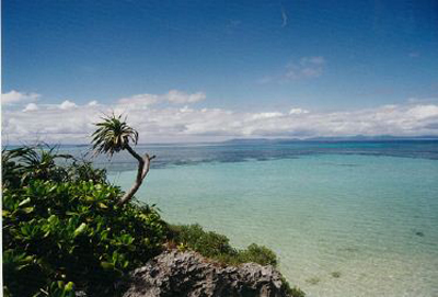 ぺー浜（南浜） 沖縄風景アーカイブ 風景結々(ふうけいゆいゆい)～沖縄らしい風景づくりポータルサイト～