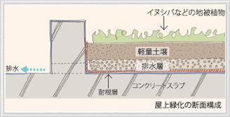 植物の種類