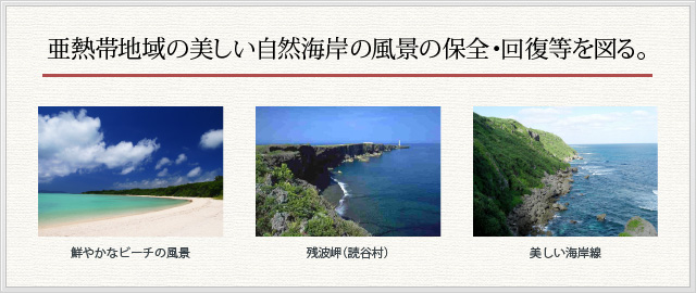 亜熱帯地域の美しい自然海岸の風景の保全・回復等を図る。