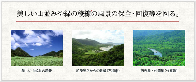 美しい山並みや緑の稜線*の風景の保全・回復等を図る。