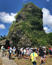 活動記録